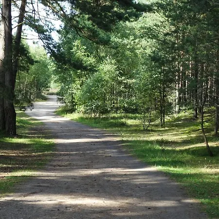 Letniskowy Grazyna 別荘