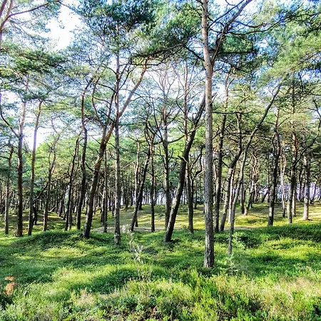 Letniskowy Grazyna *