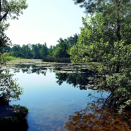 Letniskowy Grazyna *