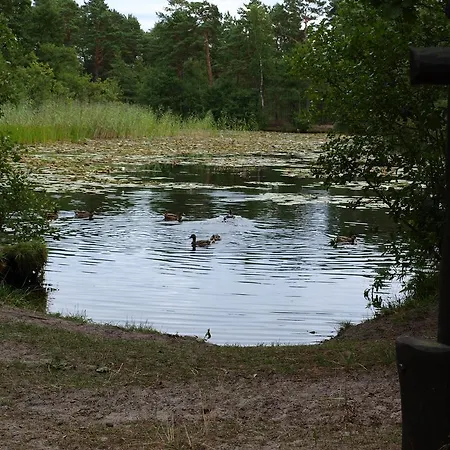 Letniskowy Grazyna 別荘 *