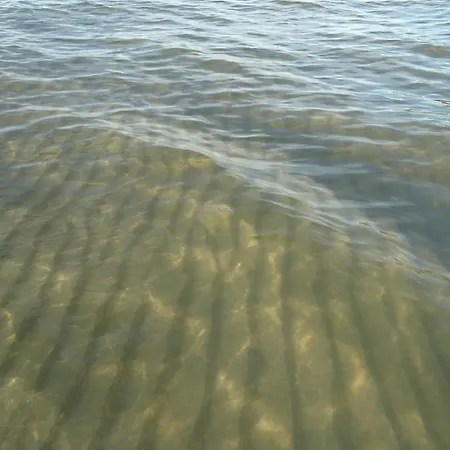 Letniskowy Grazyna コパリノ