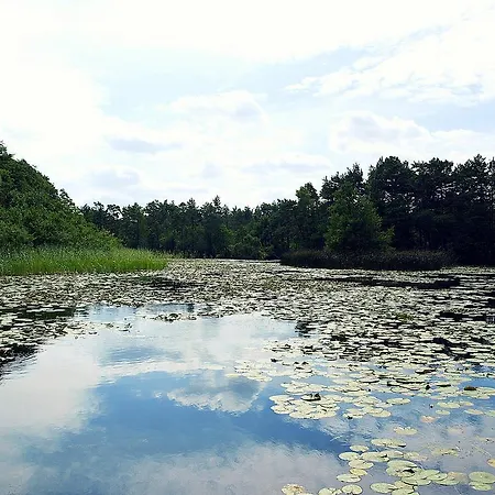 Letniskowy Grazyna コパリノ