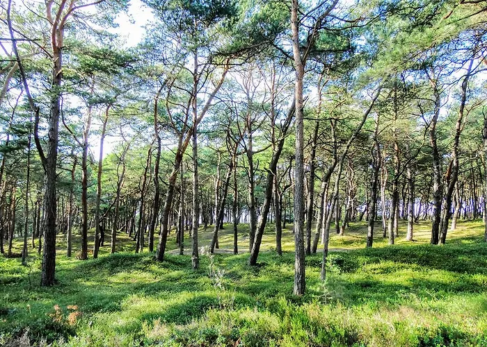 Letniskowy Grazyna *