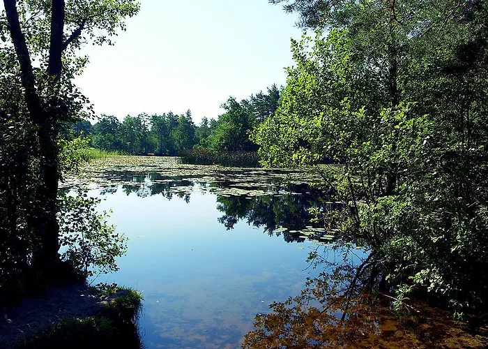 Letniskowy Grazyna *