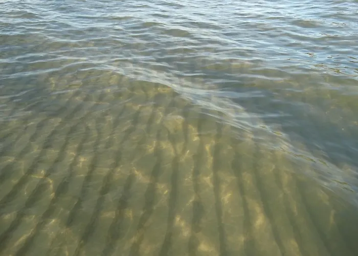 Letniskowy Grazyna Kopalino