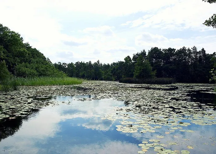 Letniskowy Grazyna Kopalino